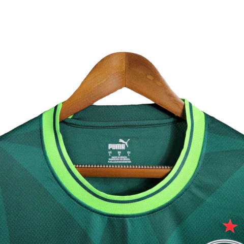 Camisa Palmeiras I 23/24 manga longa - Torcedor Puma Masculina - Verde