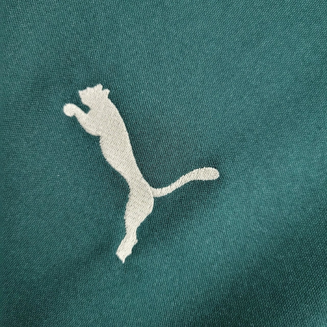 Camisa Palmeiras Treino 22/23 - Torcedor Puma Masculina - Verde com detalhe em branco