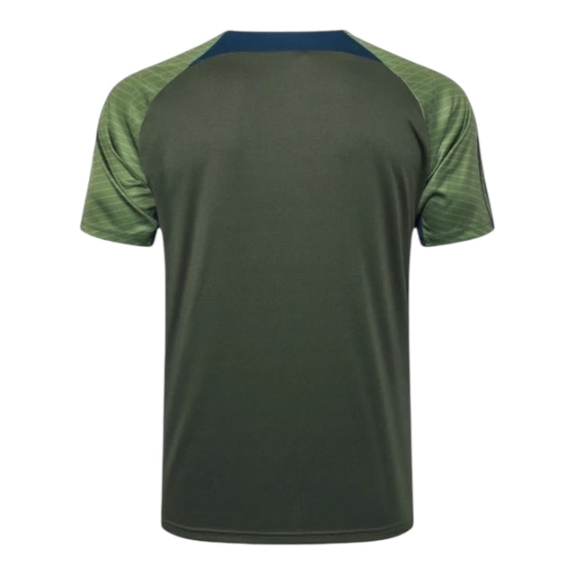Camisa Paris Saint-Germain Treino 24/25 - Torcedor Jordan Masculina - Verde